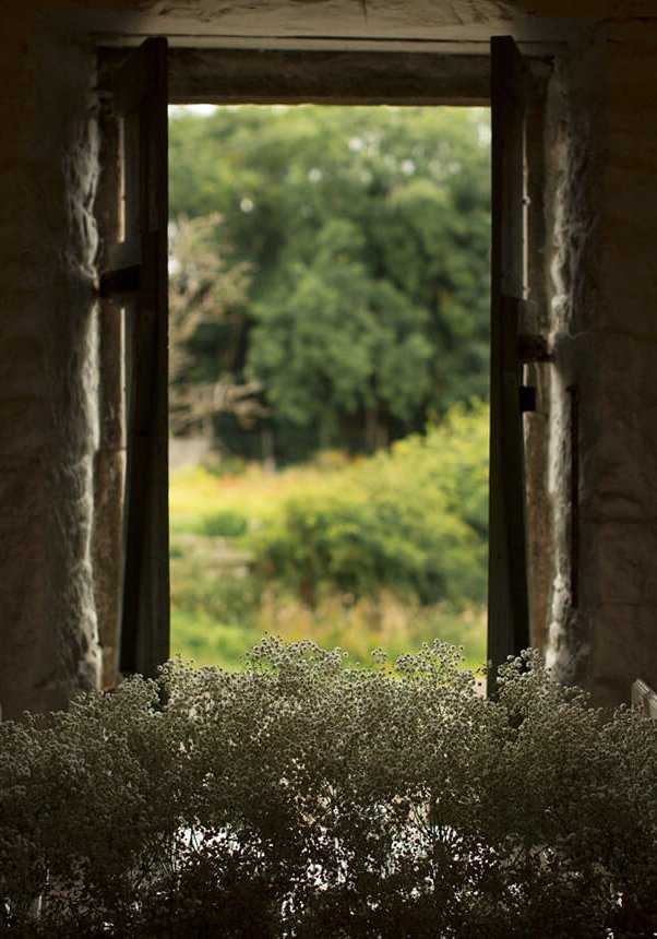 Max and Tayla's Wedding