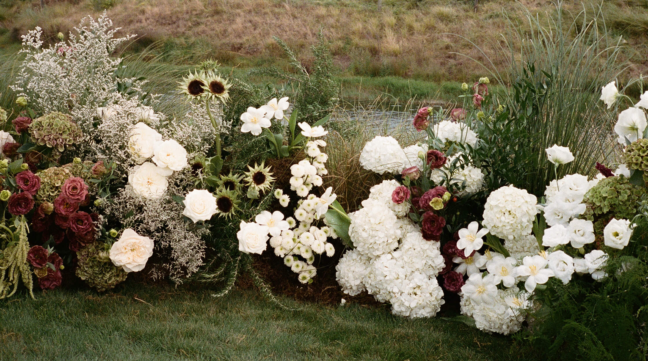 Hannah Moore Sniff Flowers Hawkes Bay