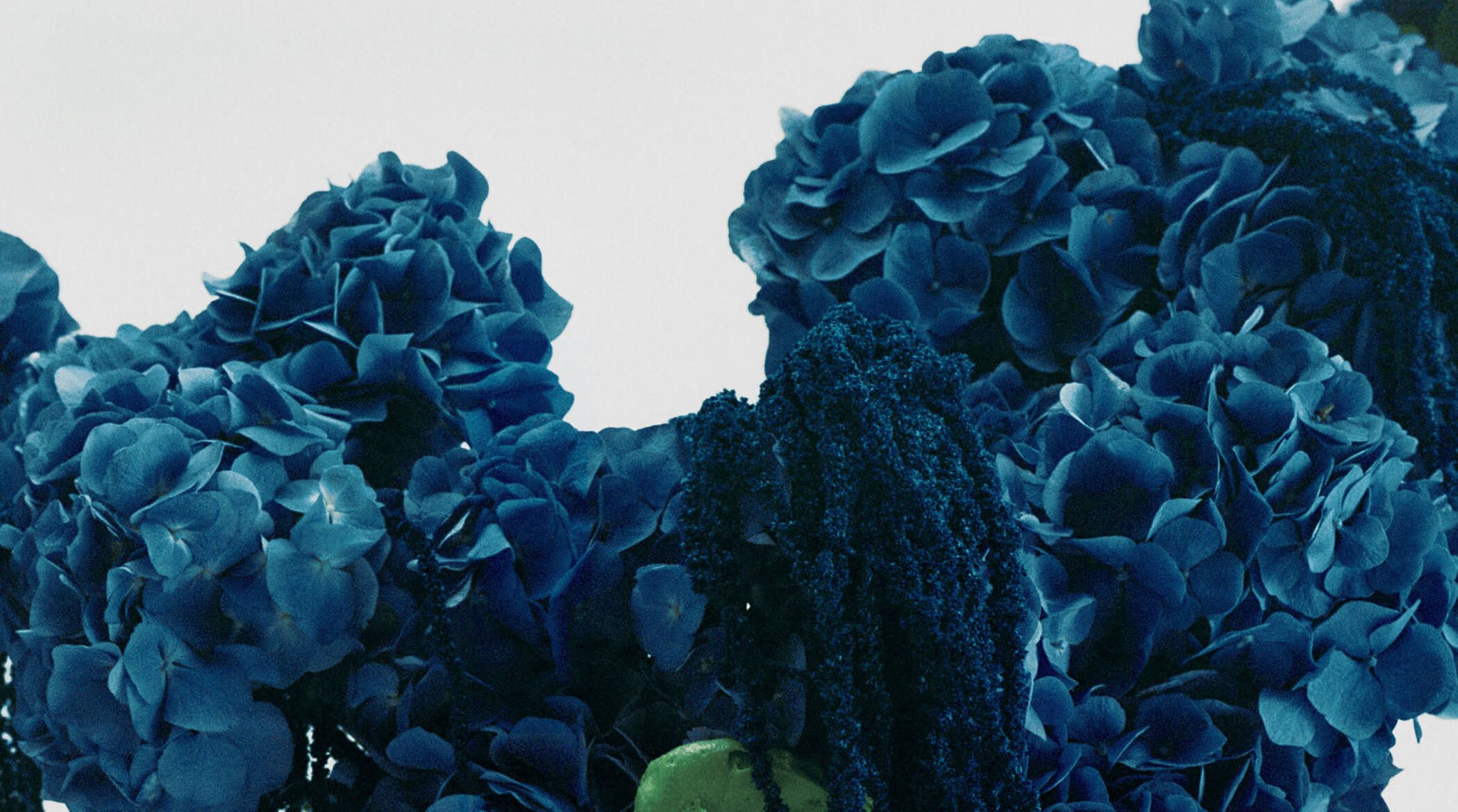 Something Blue VEIL Shoot