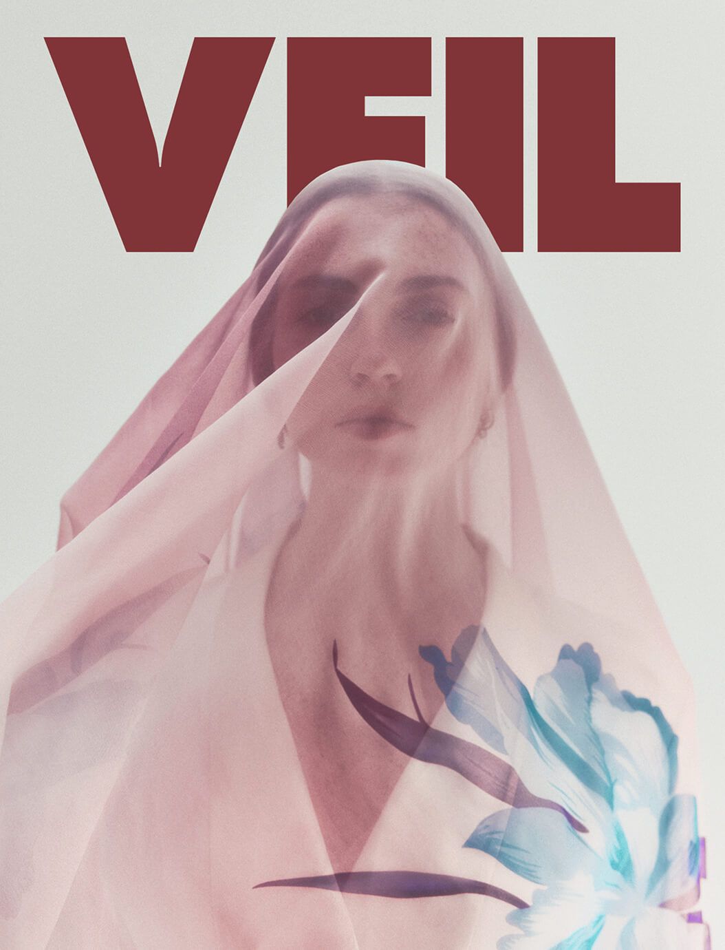 VEIL Cover