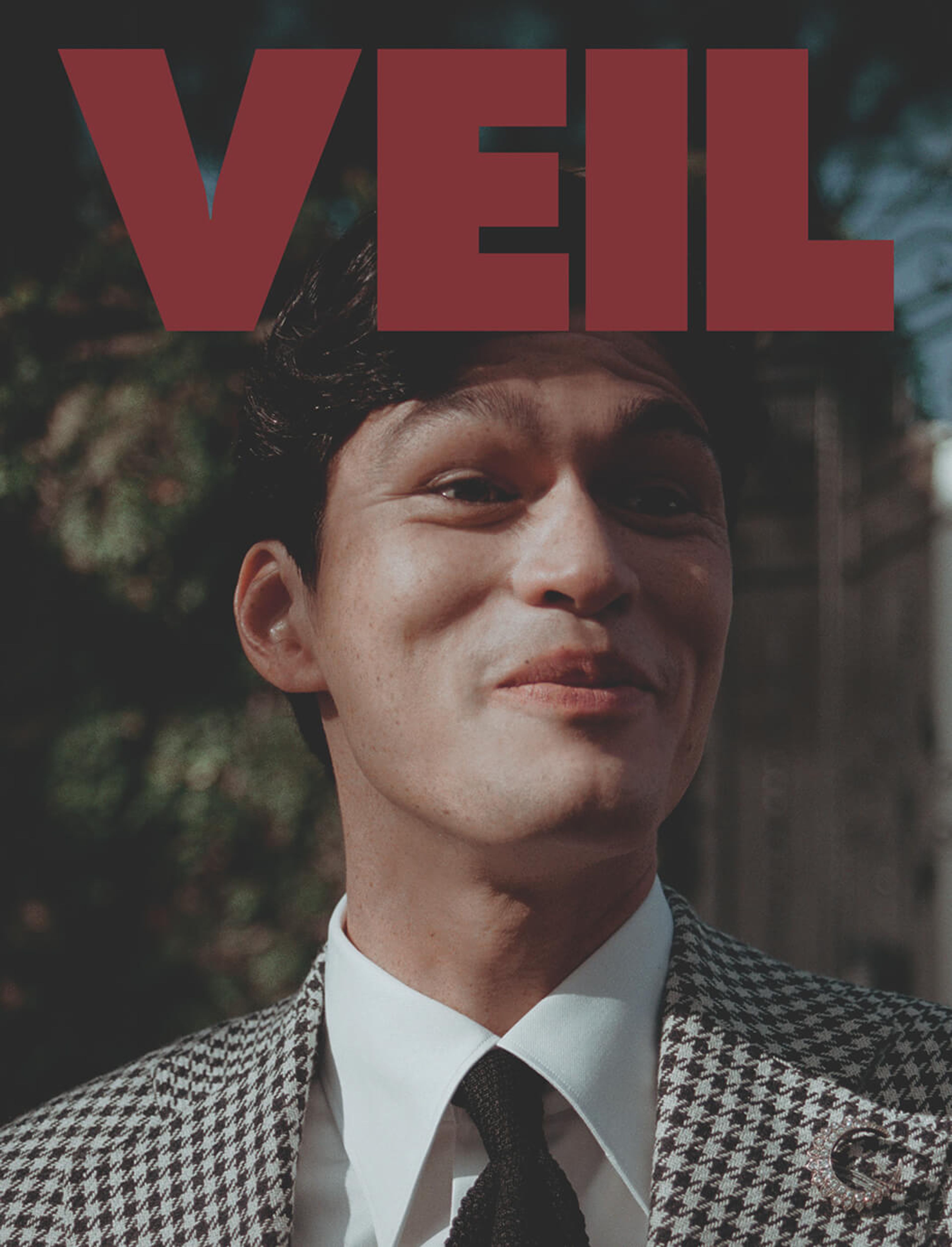 VEIL Cover 2