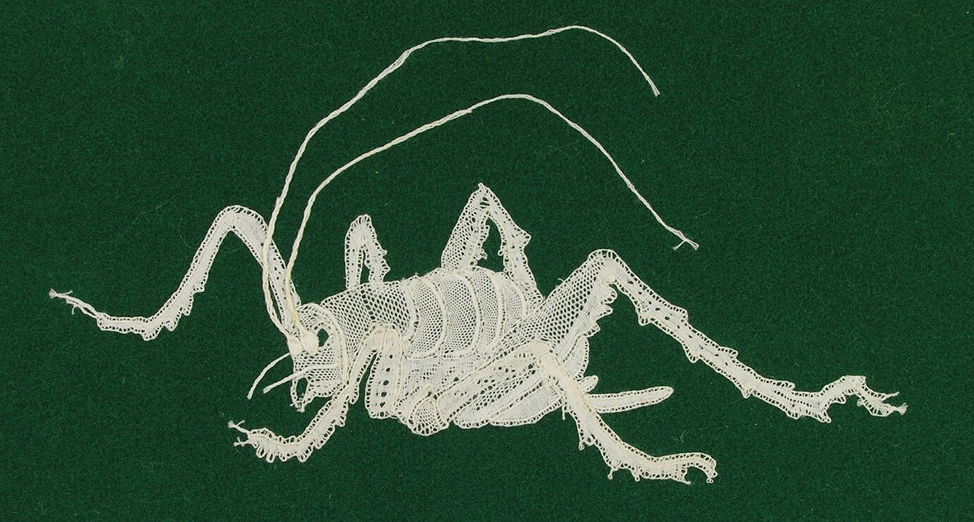 Annabel Davidson Lace
