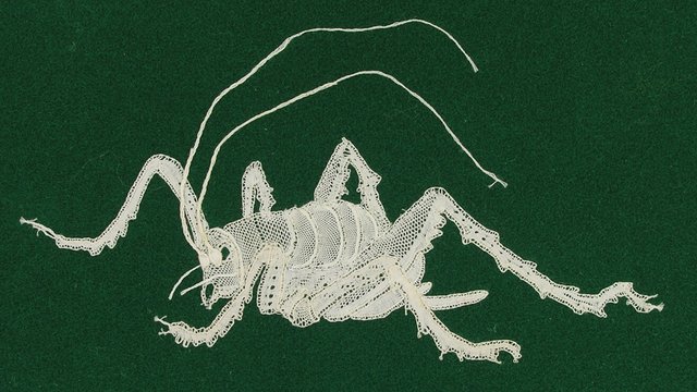 Annabel Davidson Lace