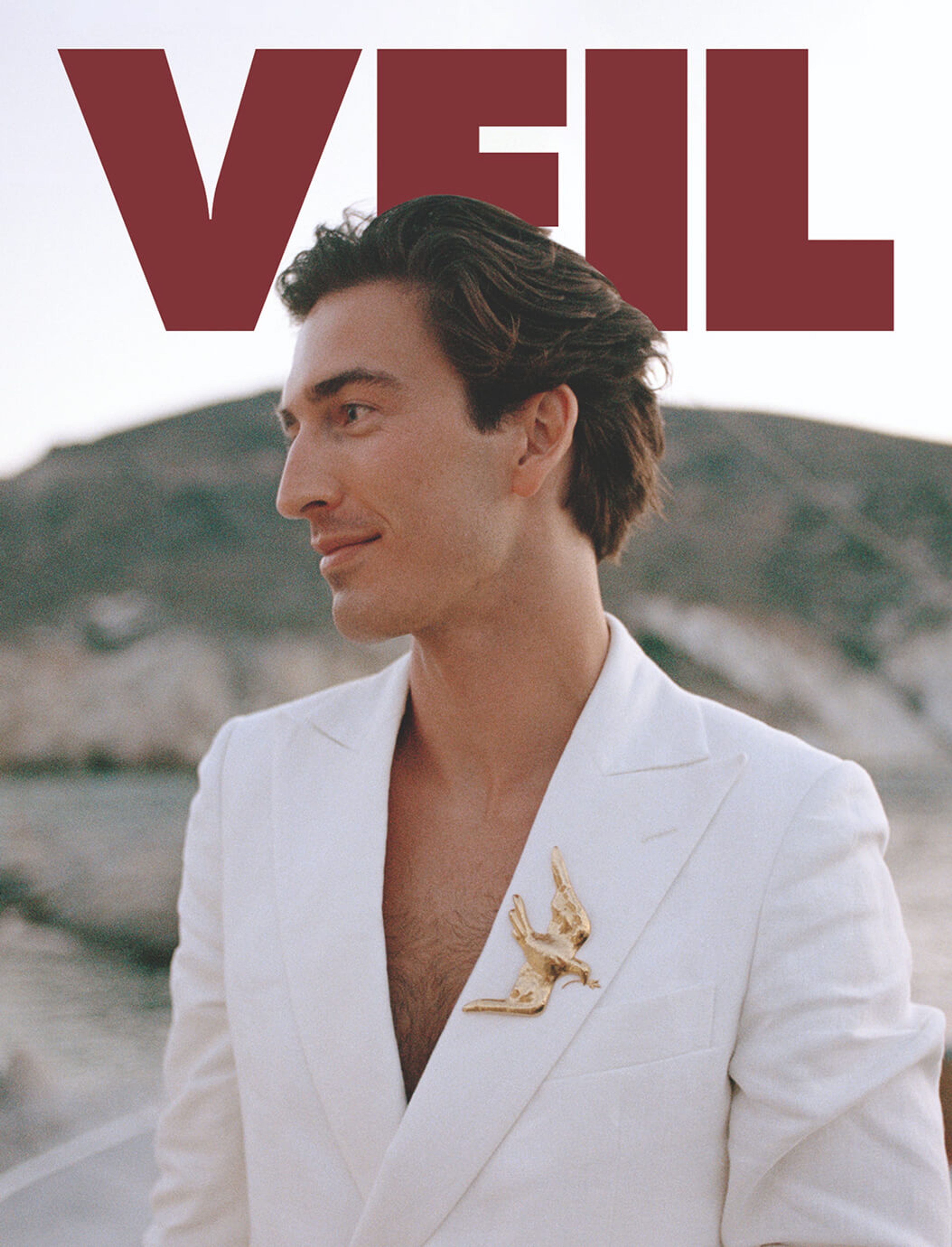 VEIL Cover 3