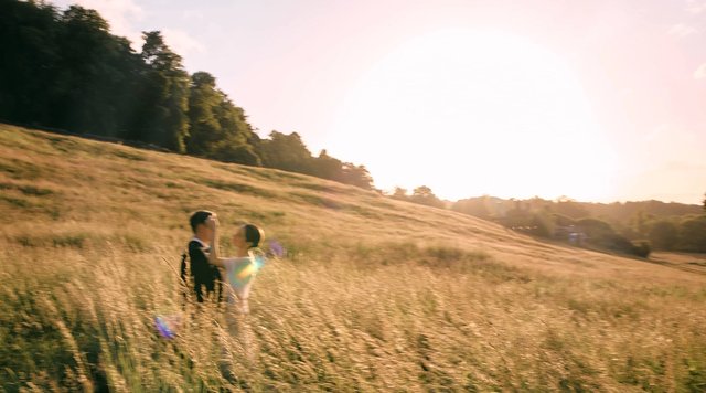 Allison & Stefan Wedding