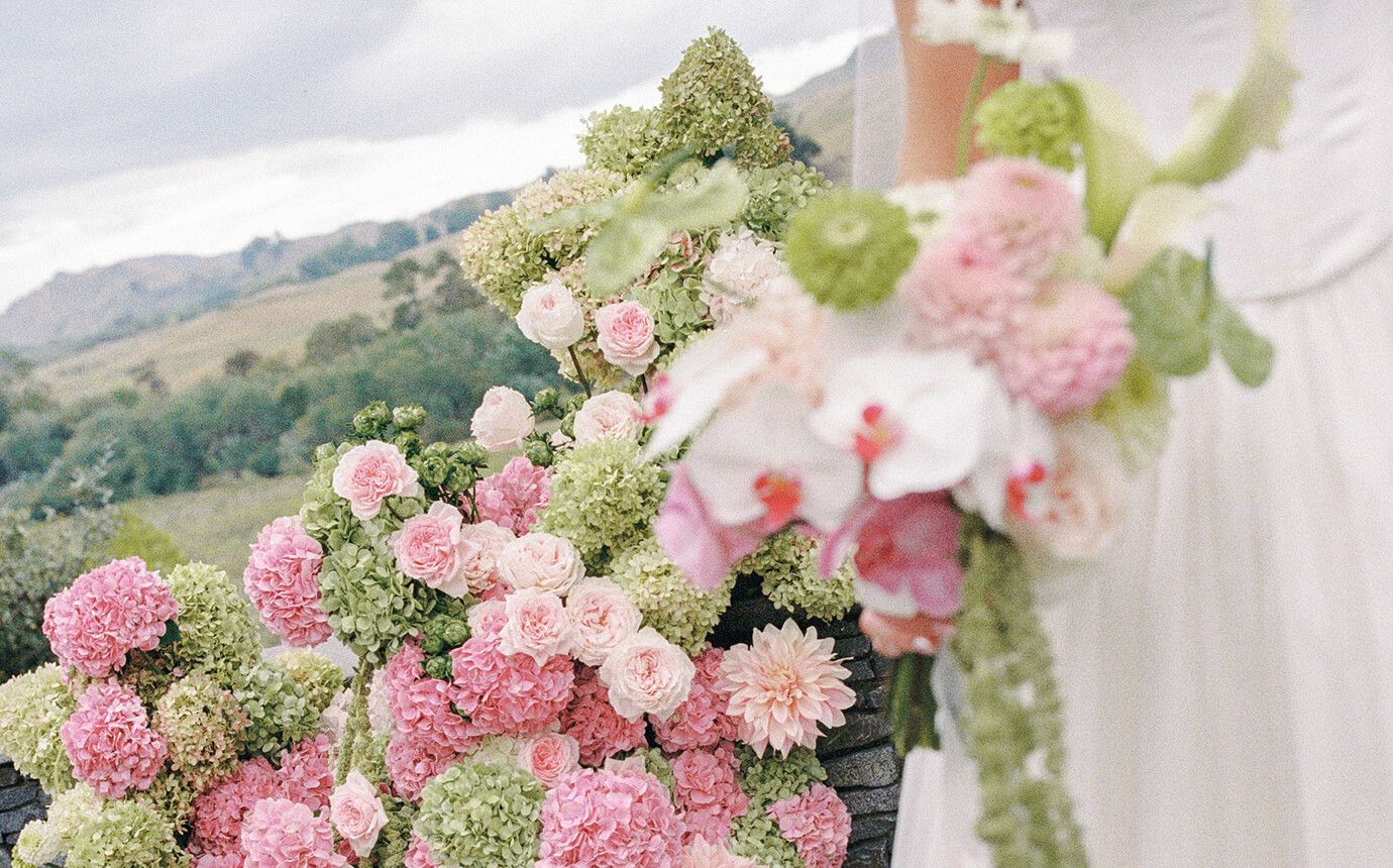Hannah Moore Sniff Flowers Hawkes Bay