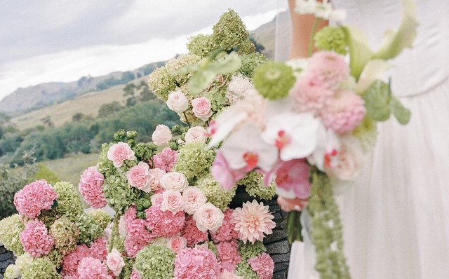 Hannah Moore Sniff Flowers Hawkes Bay