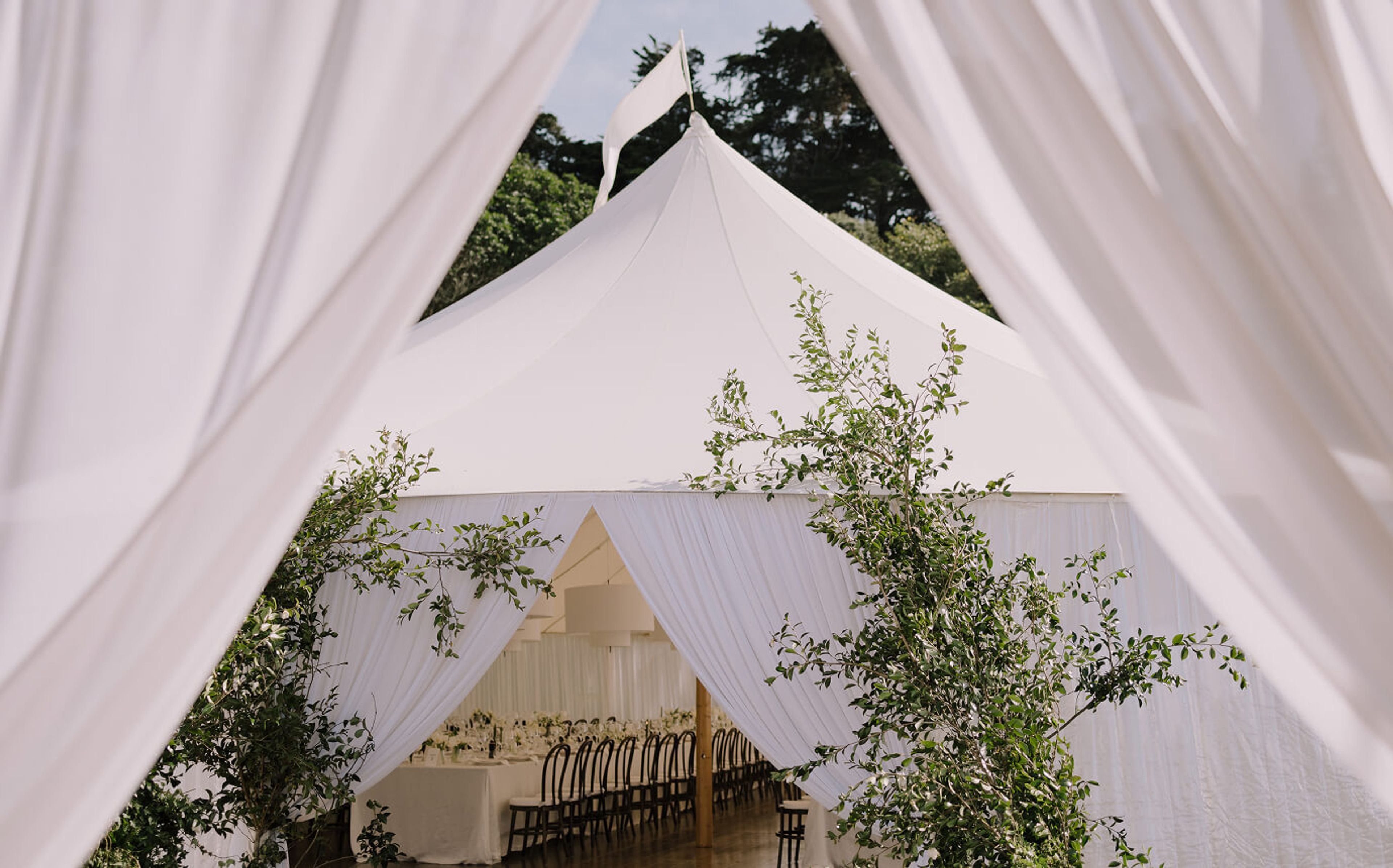 Lydia Riddiford and Sam Harris wedding