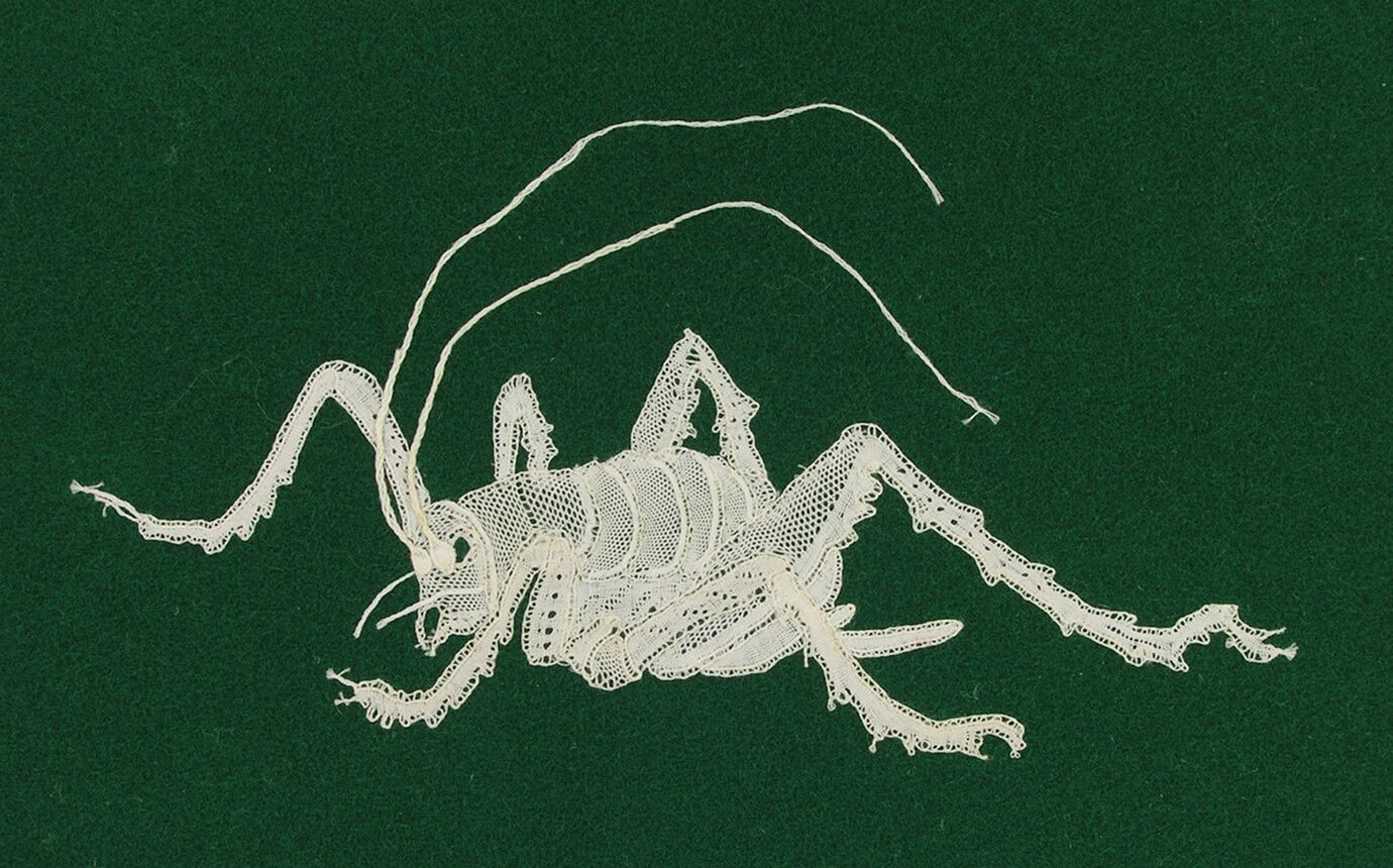Annabel Davidson Lace