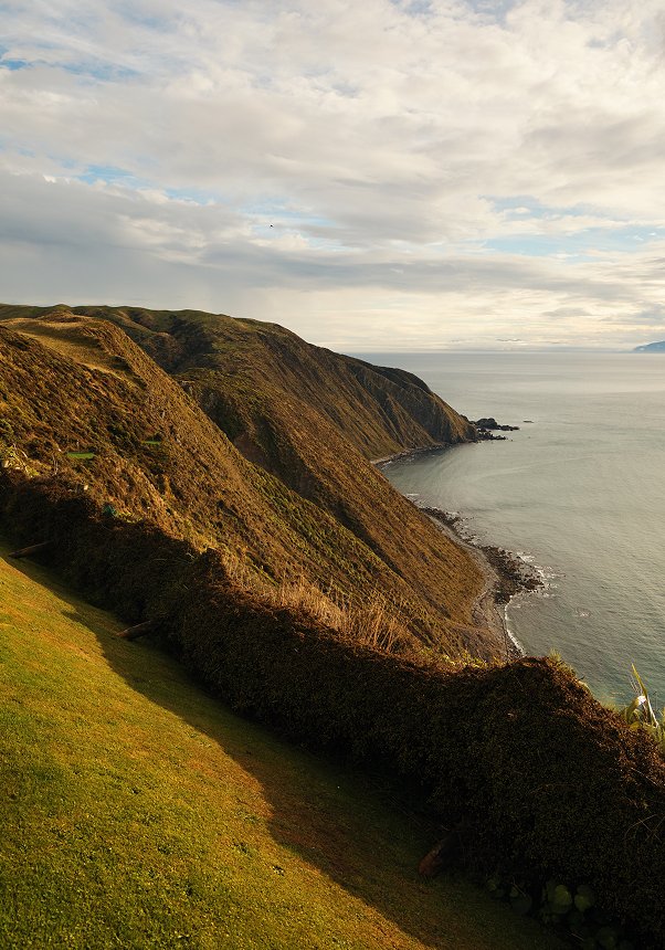 Freddie Leckie and Lawrence Pretty Wedding