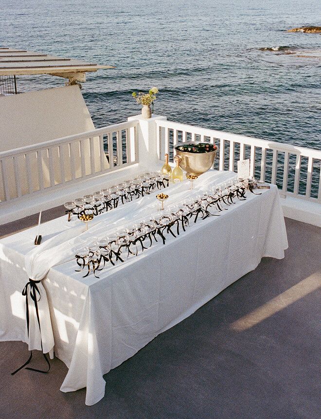 Cameron Wells and Ben Rush Wedding VEIL
