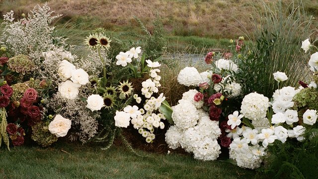 Hannah Moore Sniff Flowers Hawkes Bay