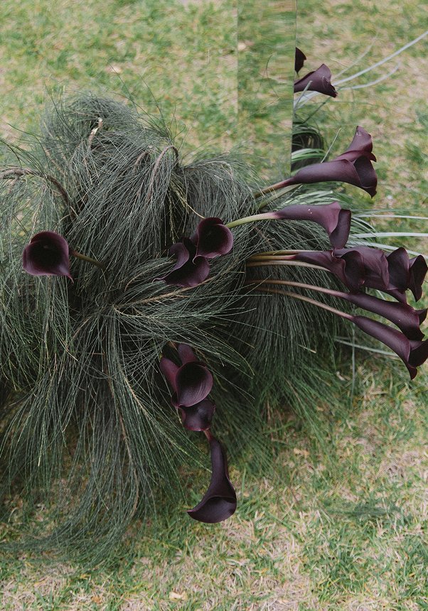 Hannah Moore Sniff Flowers Hawkes Bay