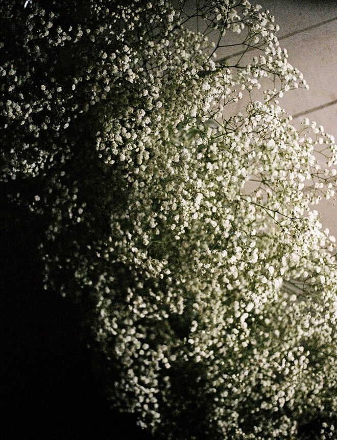 Max and Tayla Wedding