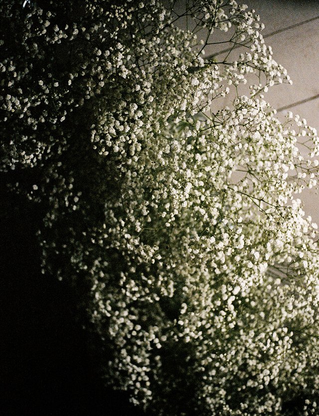 Max and Tayla Wedding