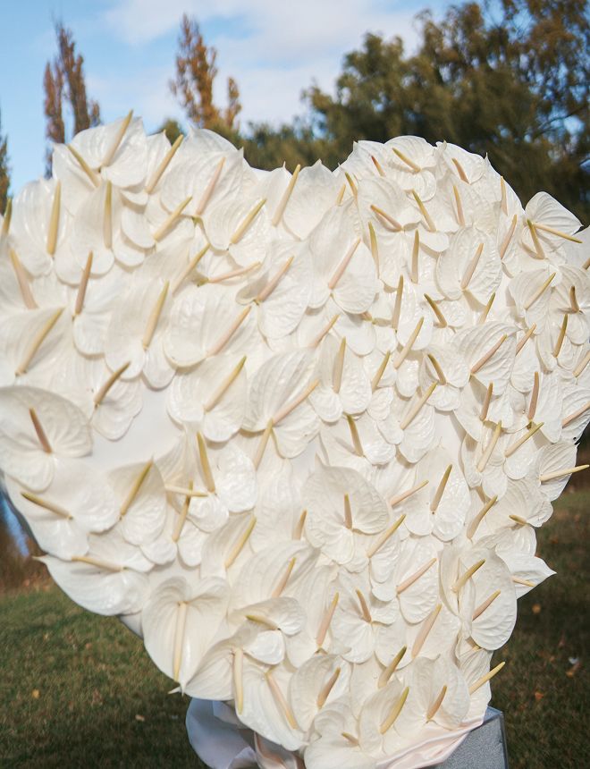 Esther Hesse and Damian Naughton Wedding