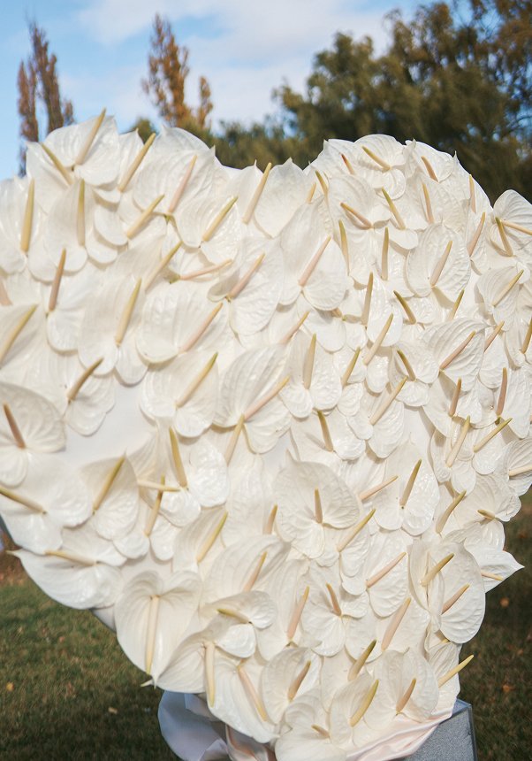 Esther Hesse and Damian Naughton Wedding