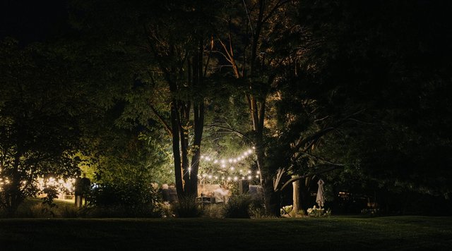 Camilla and Robbie Wedding