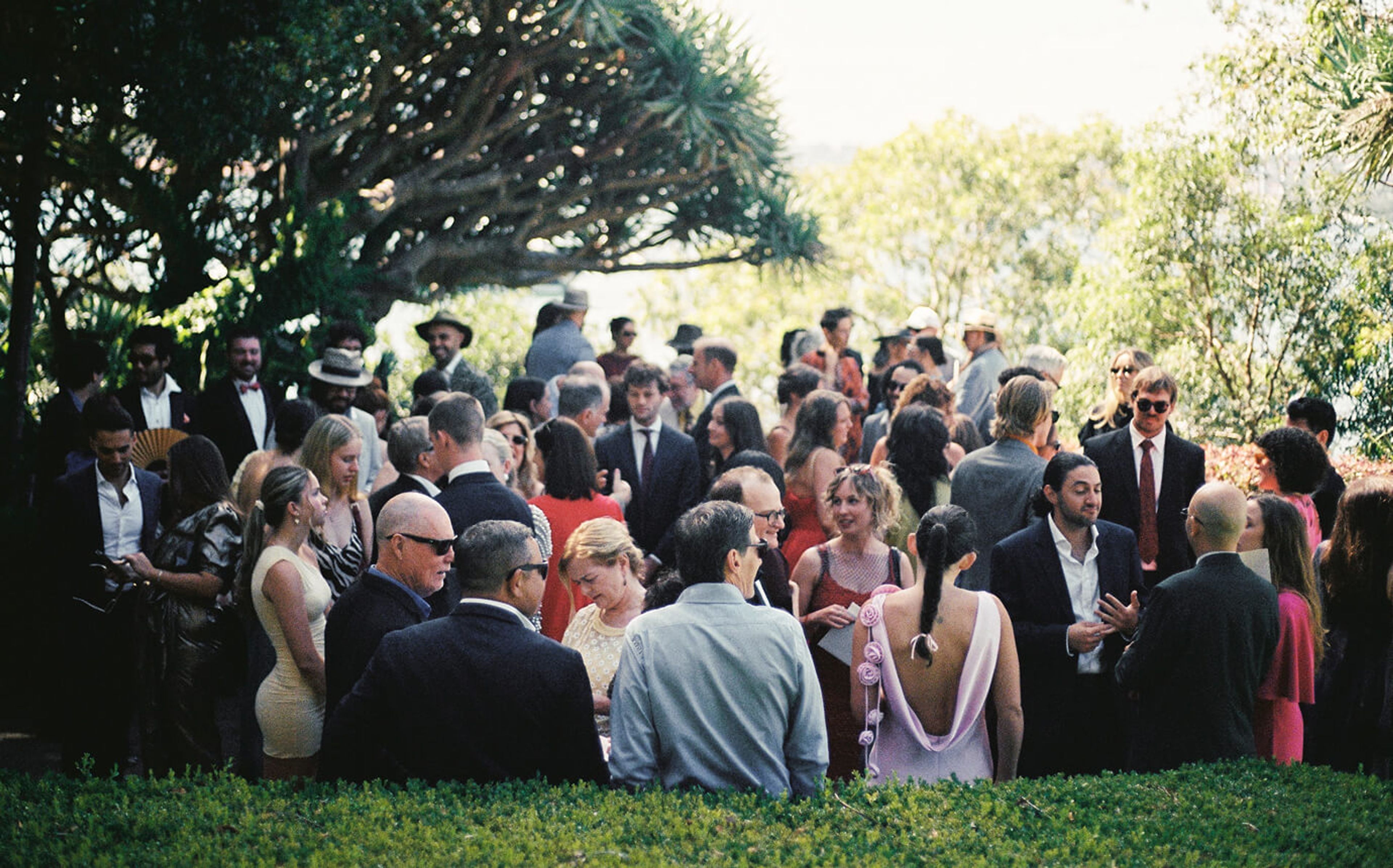 Sophia and Max Wedding VEIL