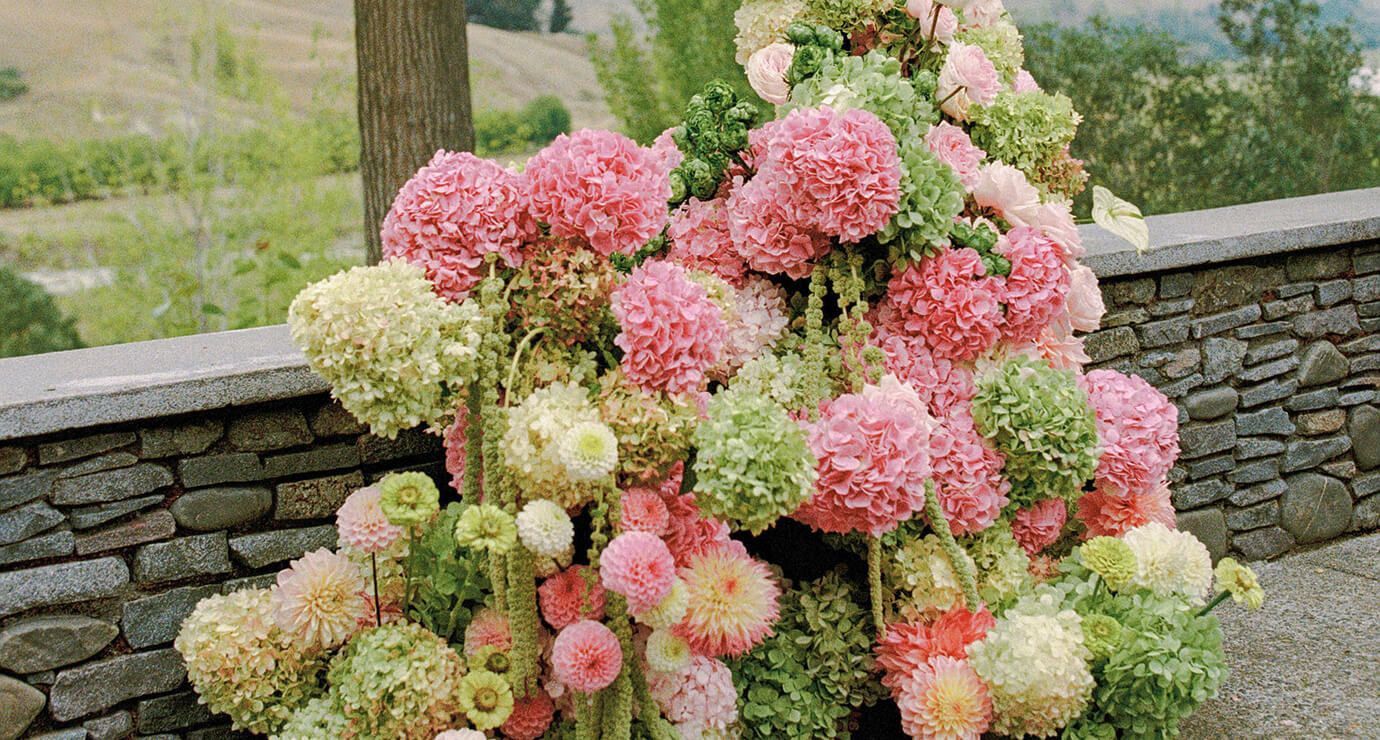 Hannah Moore Sniff Flowers Hawkes Bay