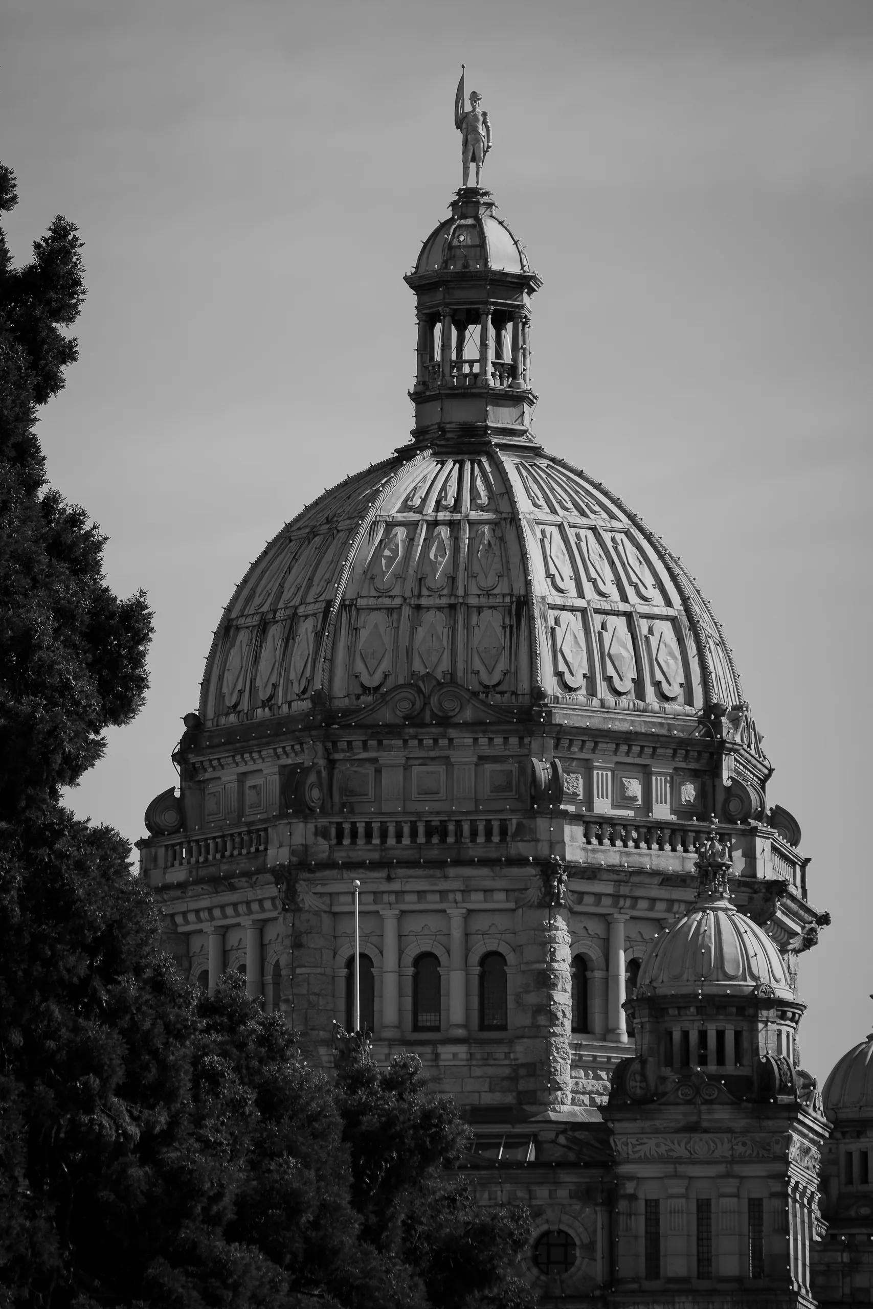 The Legislature