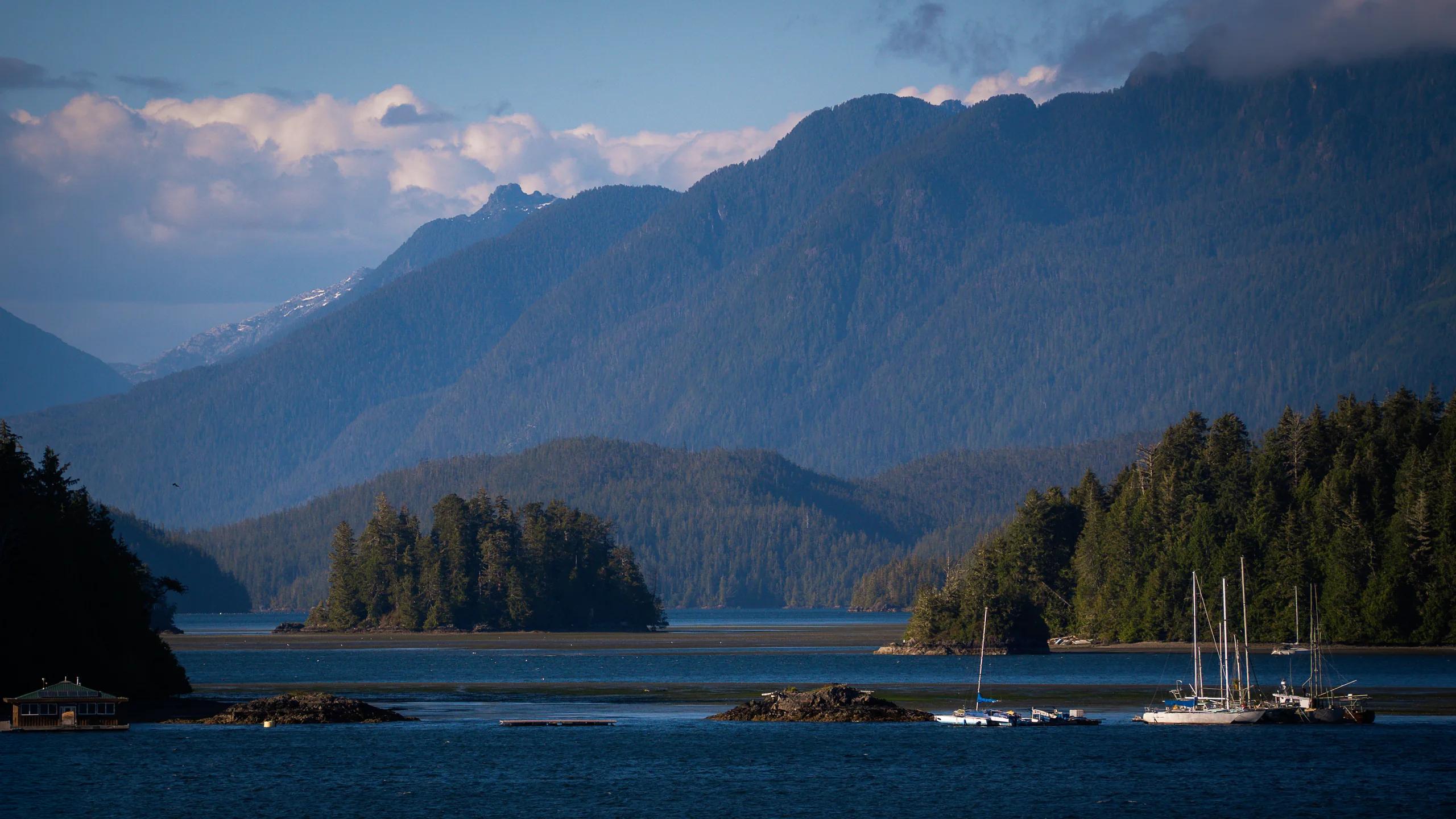 Clayoquot Calm