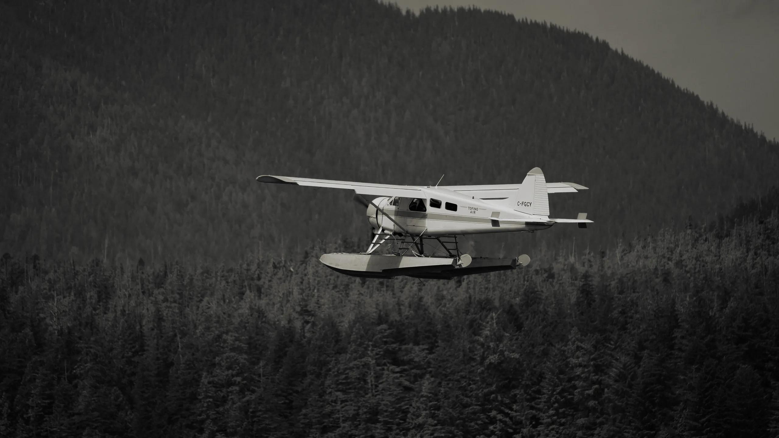 Silver Wings