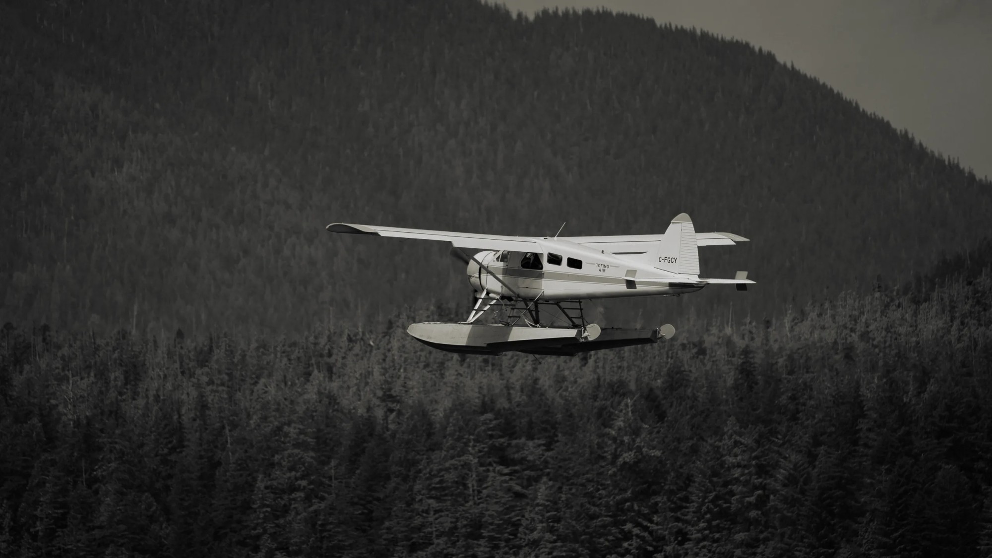 Silver Wings