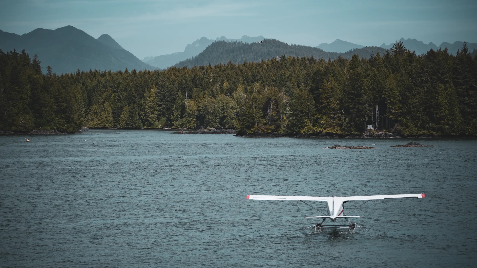 Island Hopper