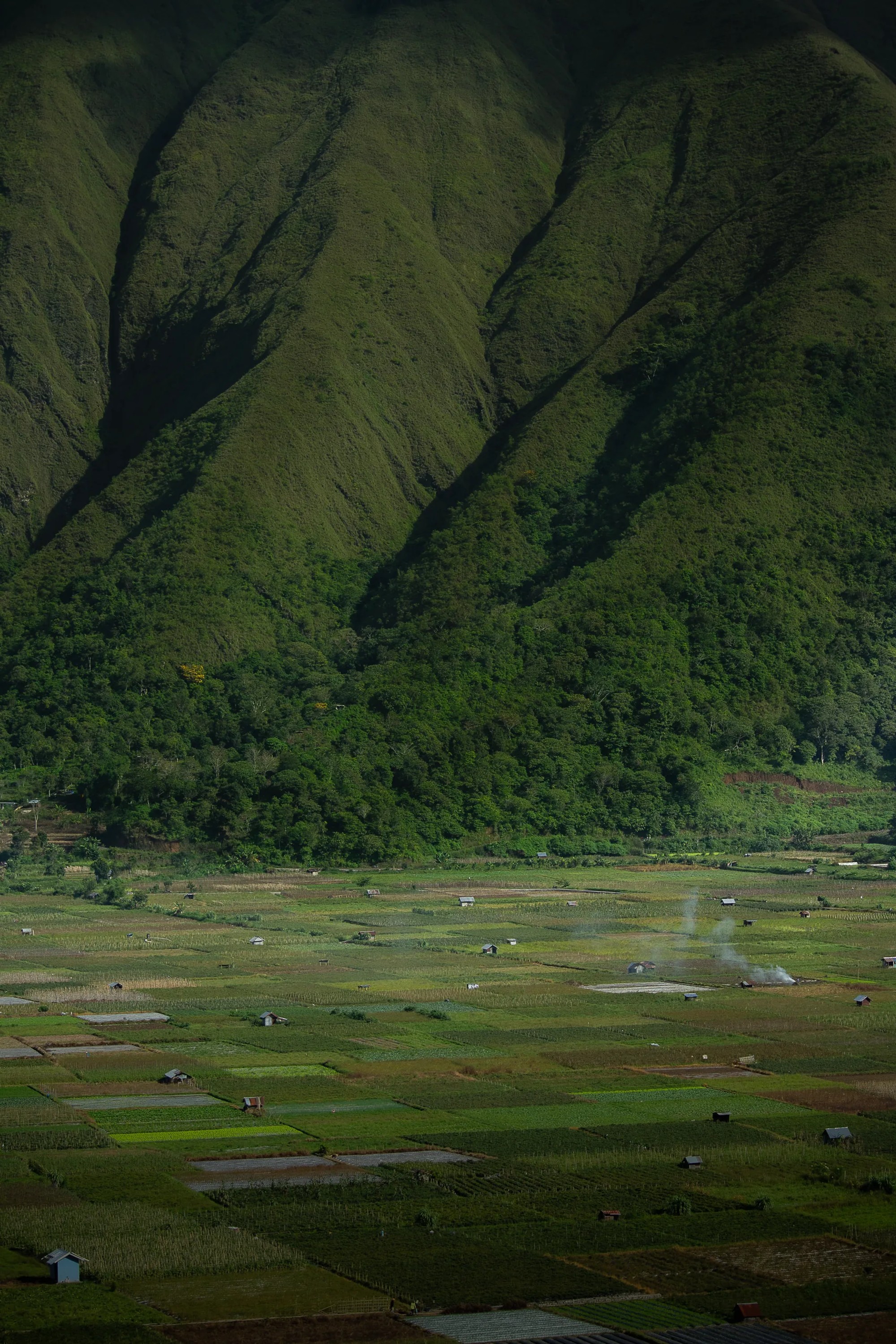 Infinite Mountains