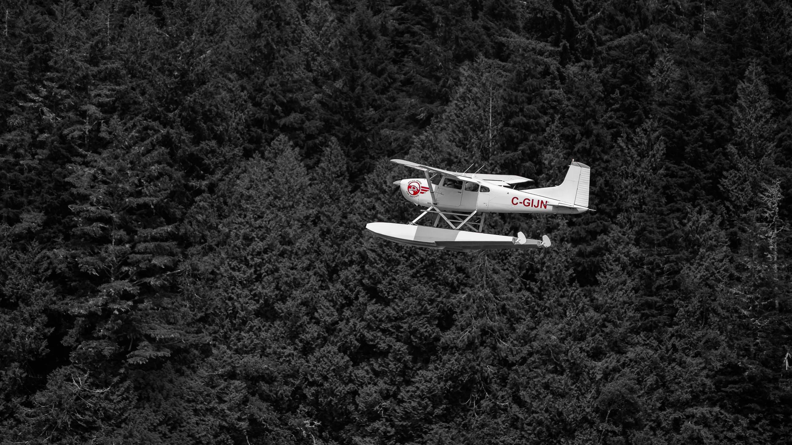 Bush Plane