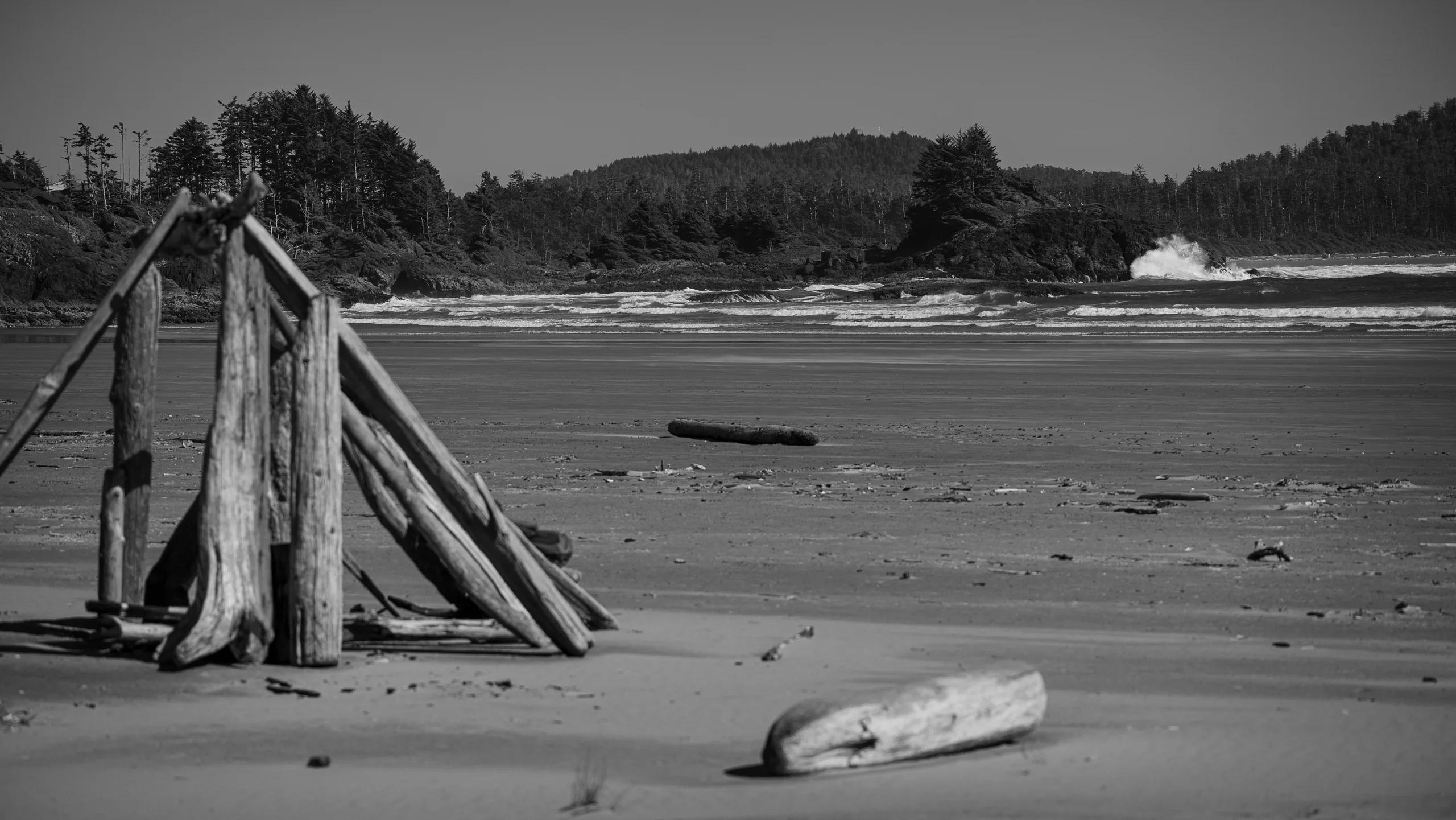Driftwood Shelter
