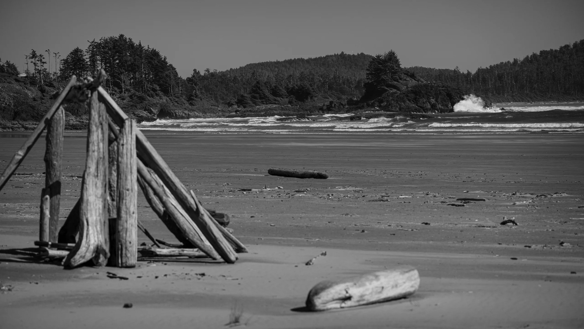 Driftwood Shelter