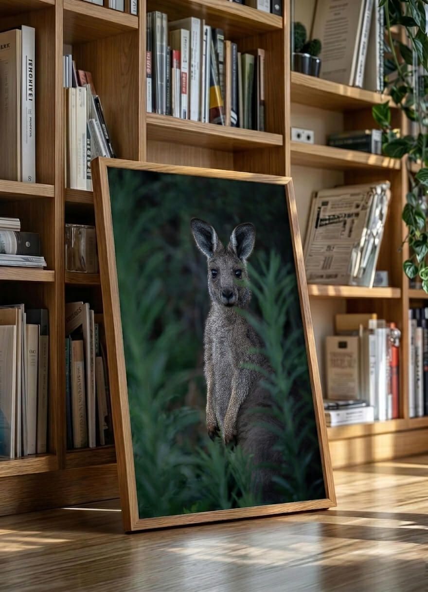 Kangoo Forest — alternate view