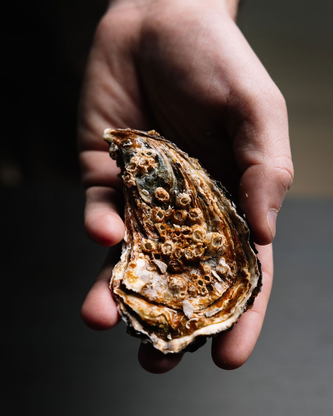 Detalle de una Ostra en la mano