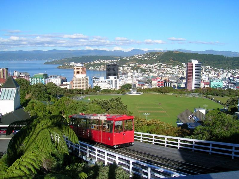 Wellington city skyline and the iconic Cable Car, where we handle complex urban cost planning.