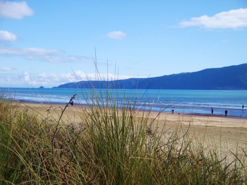 Kapiti Island viewed from the beach, a region we support with coastal build estimates.