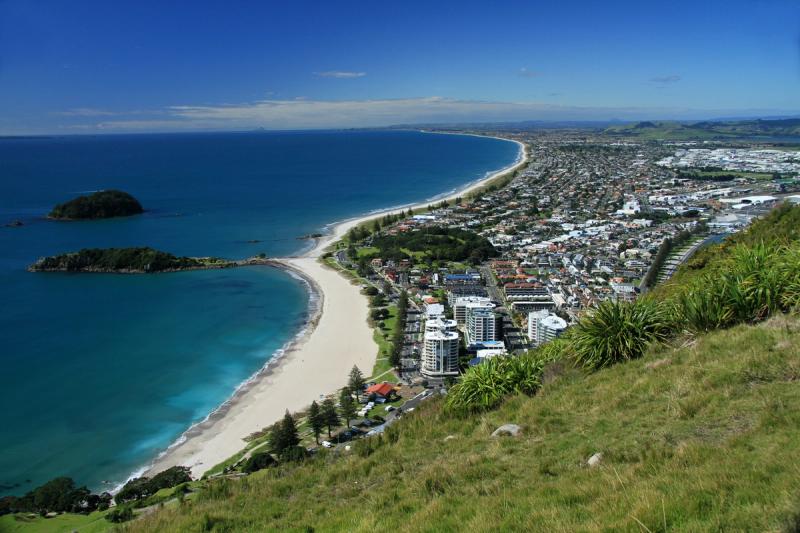View from Mount Maunganui, a high-growth zone for our estimating services.