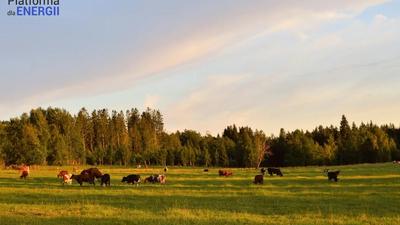 Biogazownie – co naprawdę budzi obawy i dlaczego są one nieuzasadnione