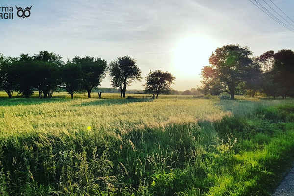 Spółdzielnie energetyczne nie tylko dla gmin, ale także dla firm