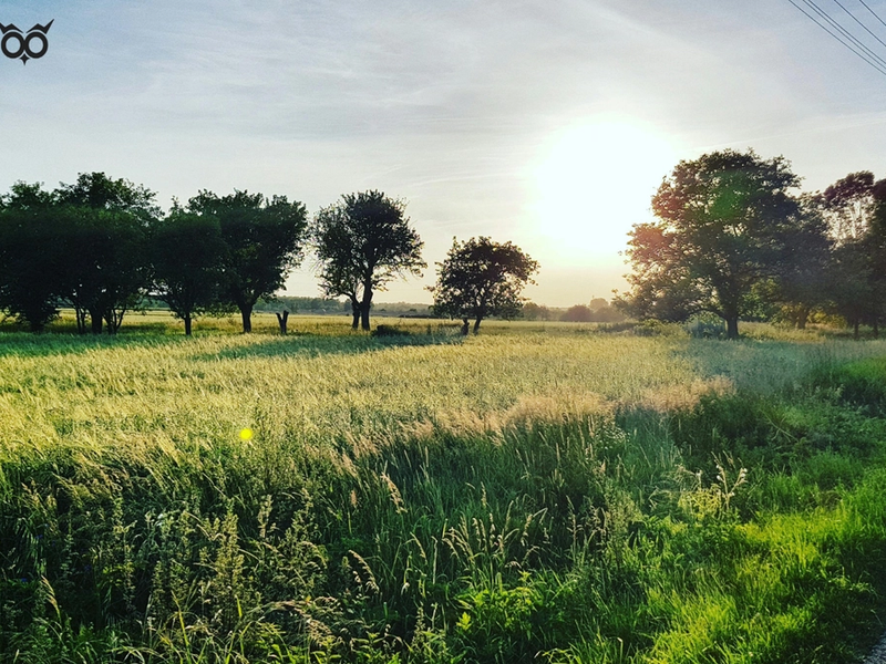 Spółdzielnie energetyczne nie tylko dla gmin, ale także dla firm