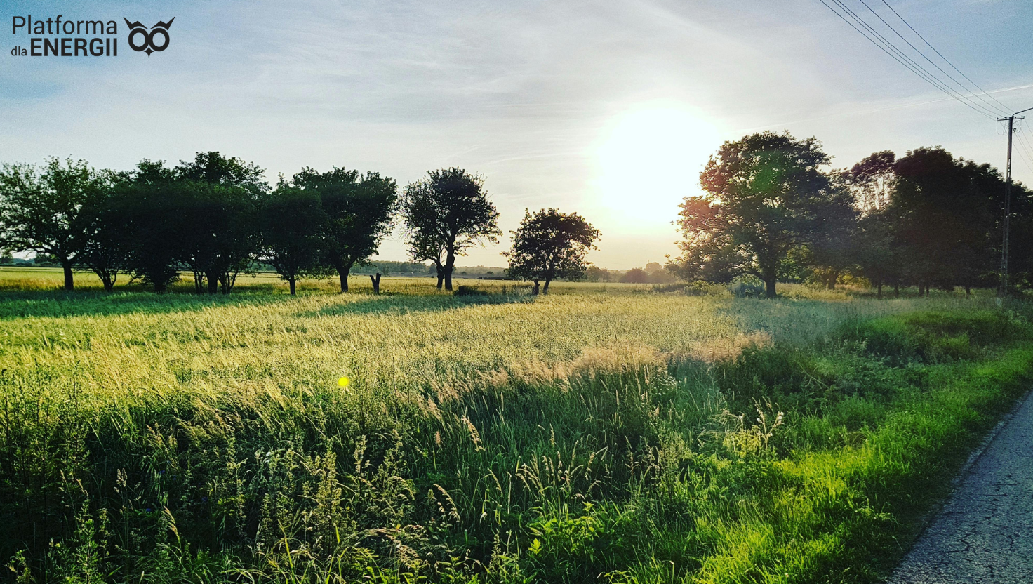 Spółdzielnie energetyczne nie tylko dla gmin, ale także dla firm