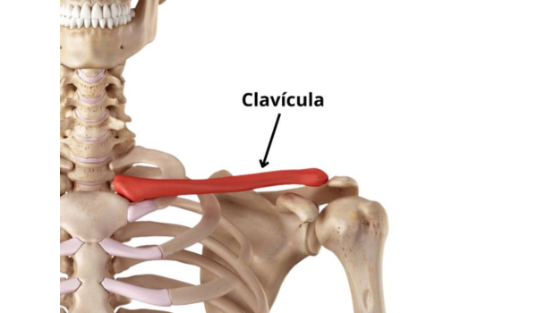 Fratura de clavícula: causas, sintomas e tratamentos eficientes