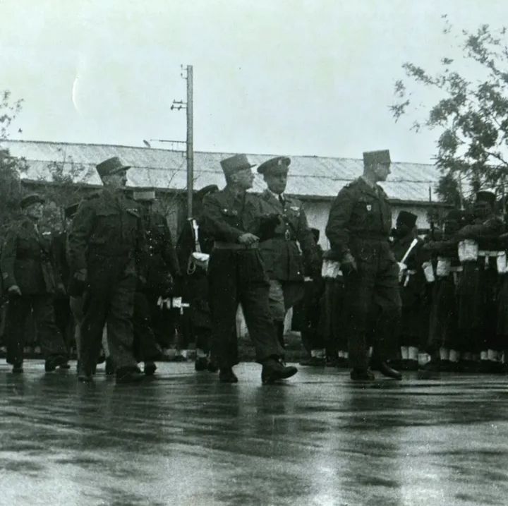 صورة المقالة