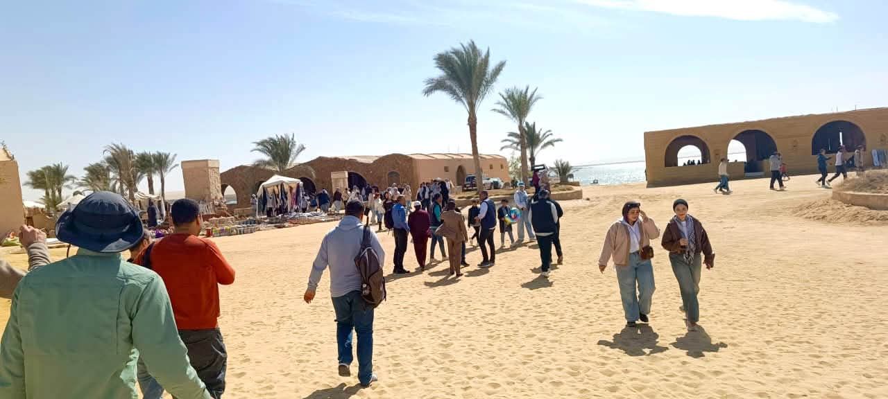 صورة المقالة