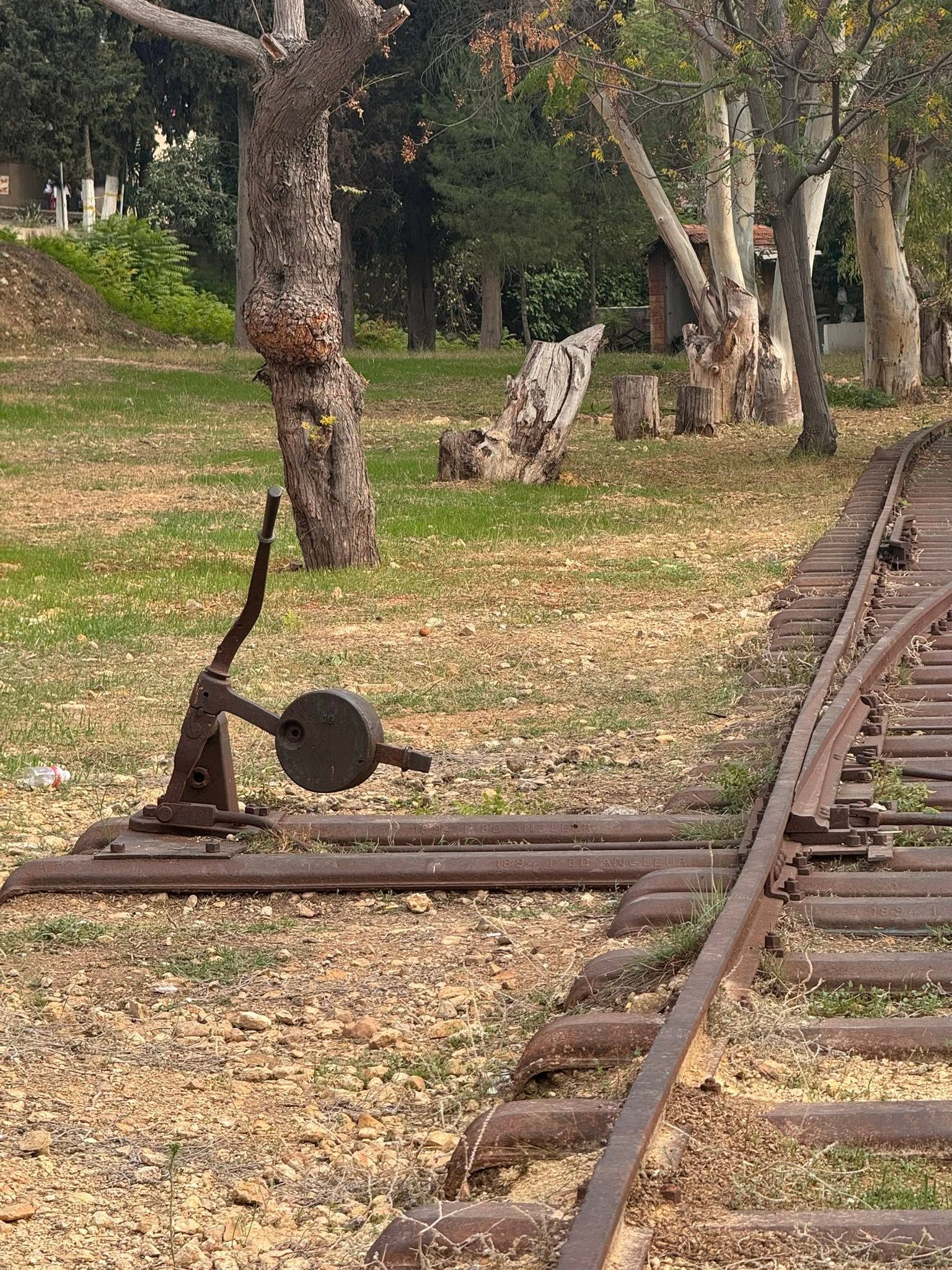 صورة المقالة