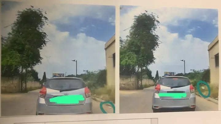 صورة المقالة