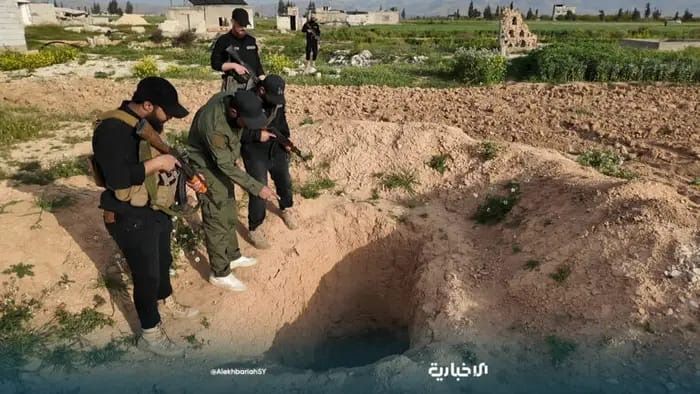 صورة المقالة
