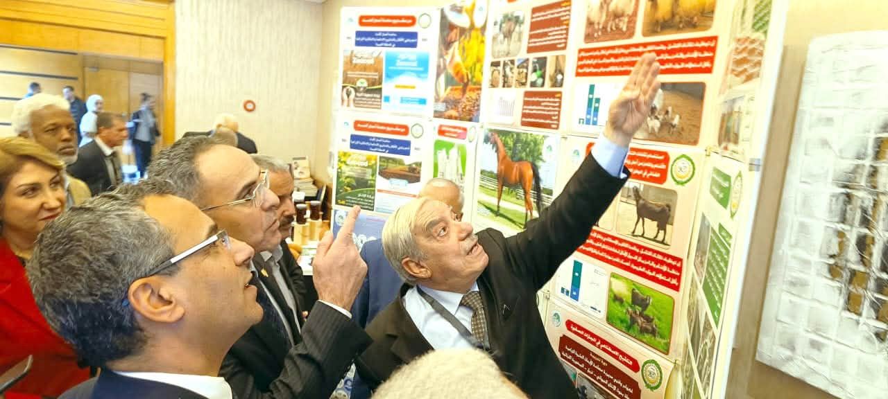 صورة المقالة