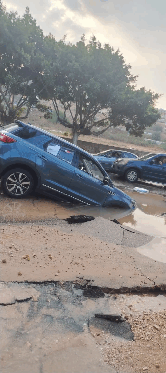 صورة المقالة